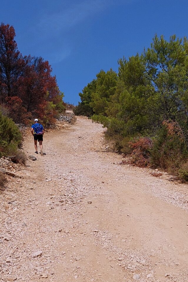 la strada per raggiungere Tužbine (Kosirina) partendo dal punto lovers bench riportato su google maps