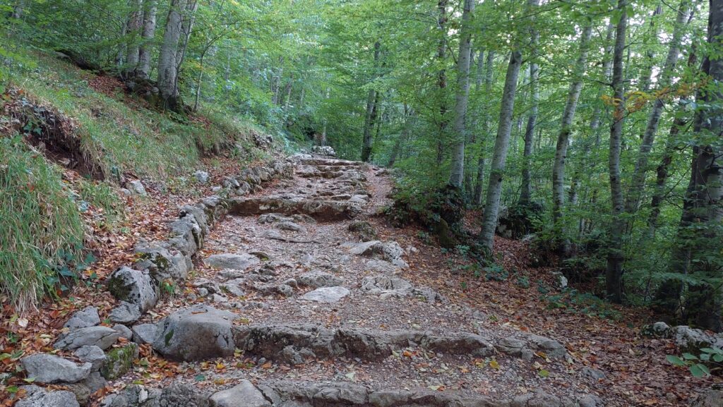 Sentiero nel bosco in salita che porta all’ingresso della Grotta Inferiore del complesso di Cerovac.