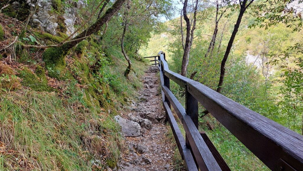 Tratto di sentiero roccioso con corrimano in legno immerso nel bosco, lungo il percorso che porta alla sorgente del fiume Una.