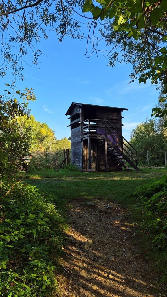Torretta per il birdwatching nell'Oasi della Bruschera ad Angera