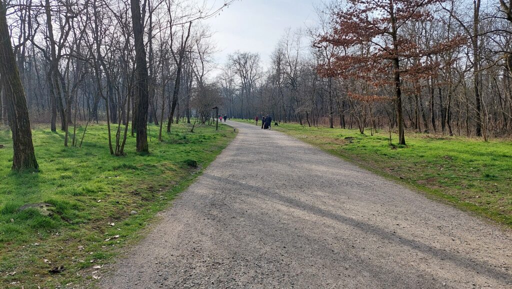 Strada sterrata di Via Gaggio nel Parco del Ticino